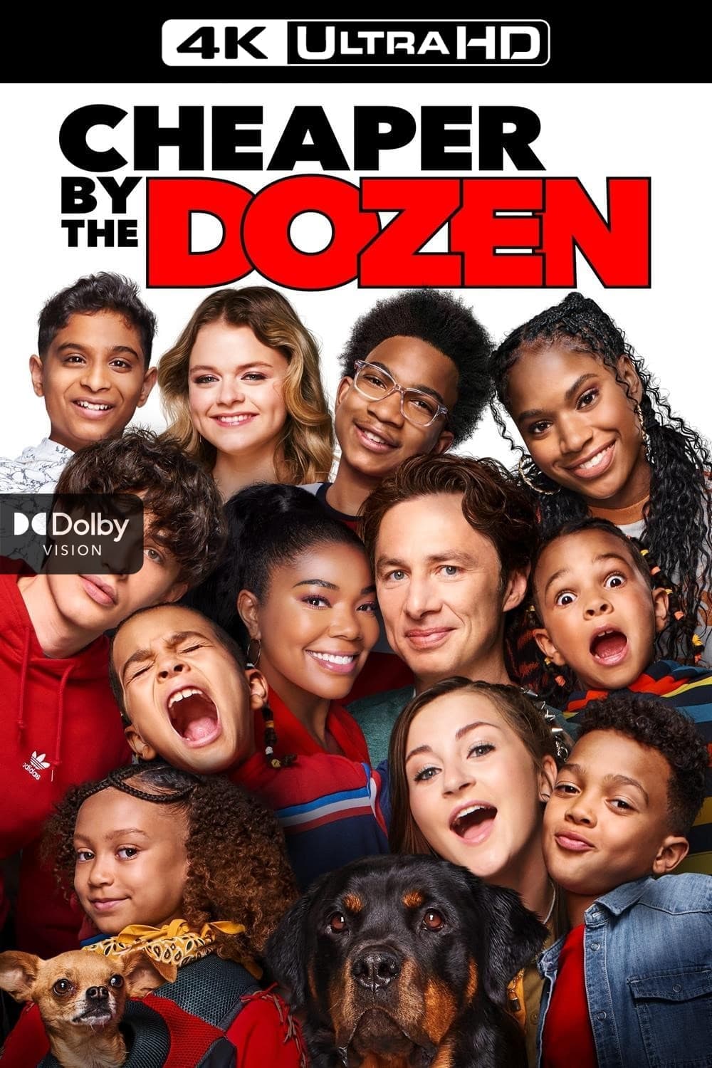 Poster of Cheaper by the Dozen