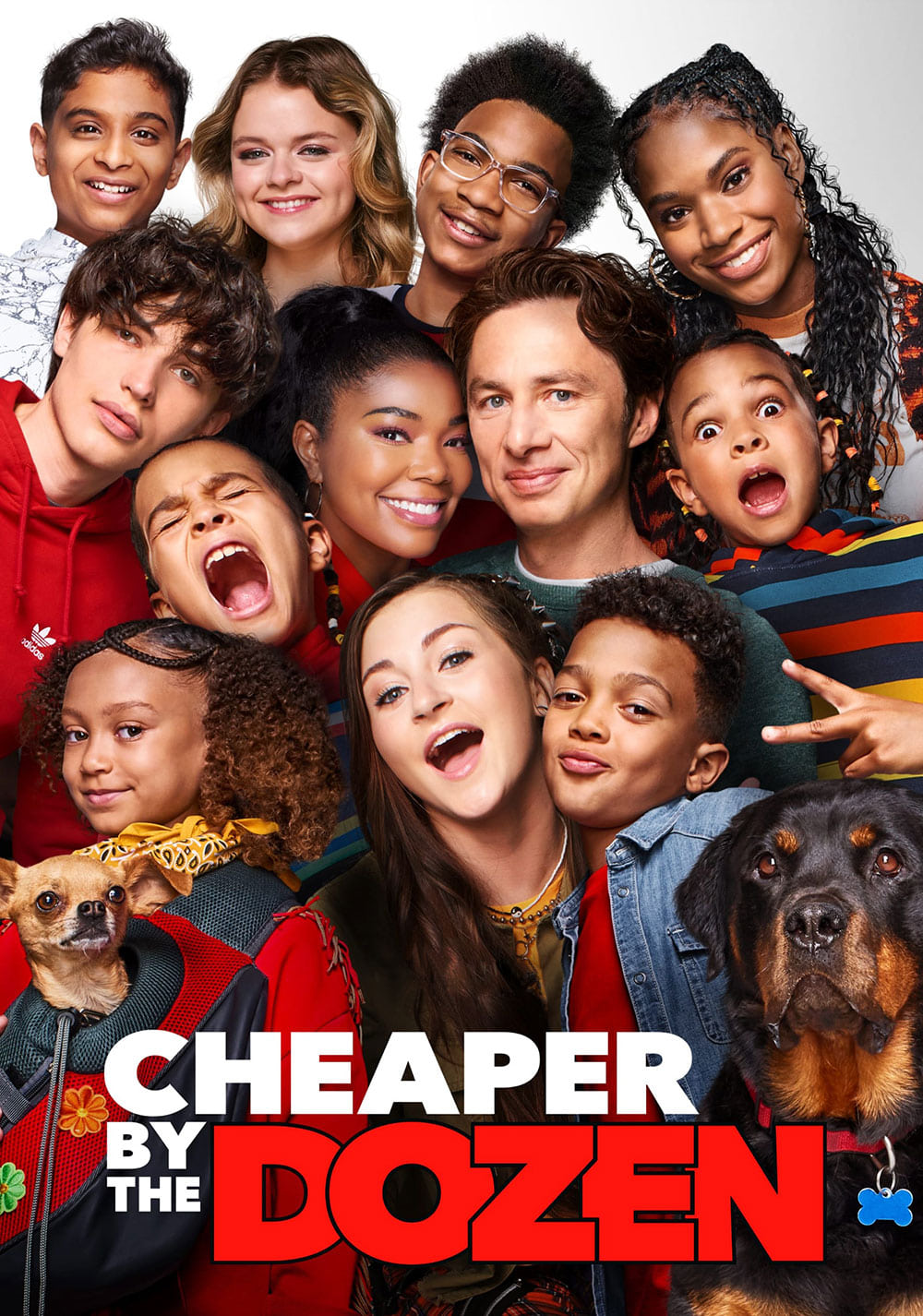 Poster of Cheaper by the Dozen