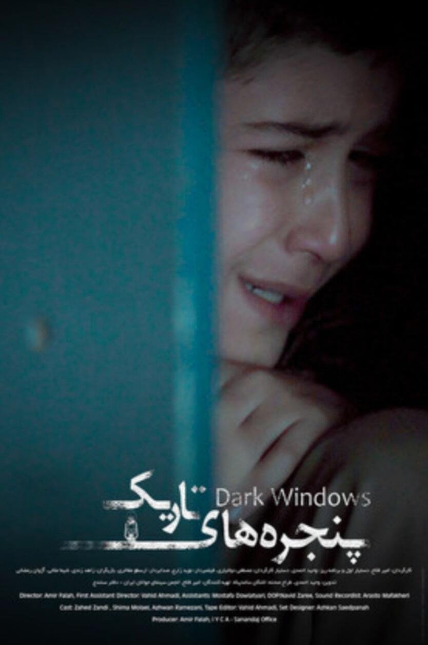 Dark Windows film poster