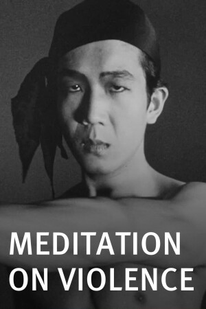 Meditation on Violence film poster