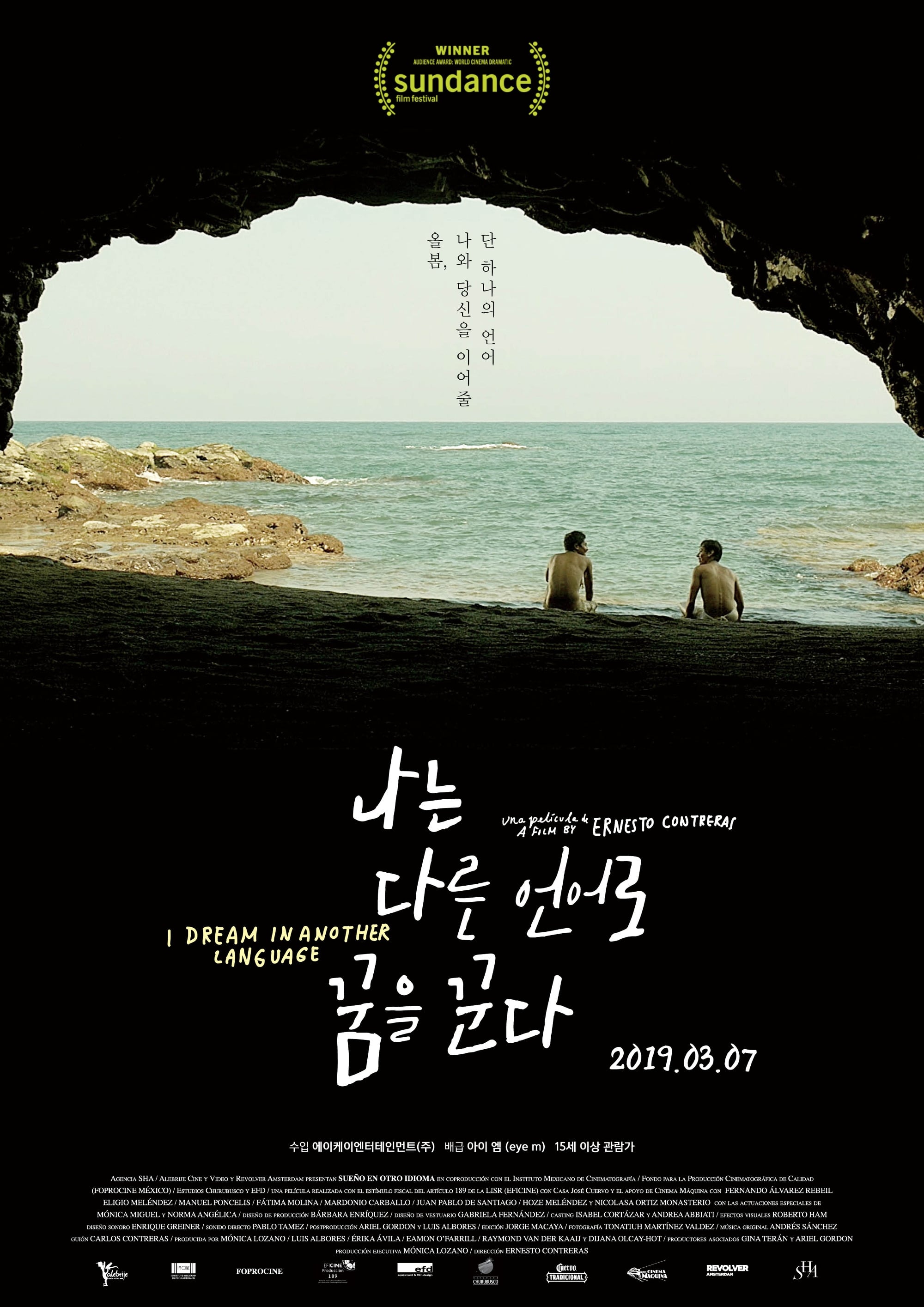 Poster of I Dream in Another Language