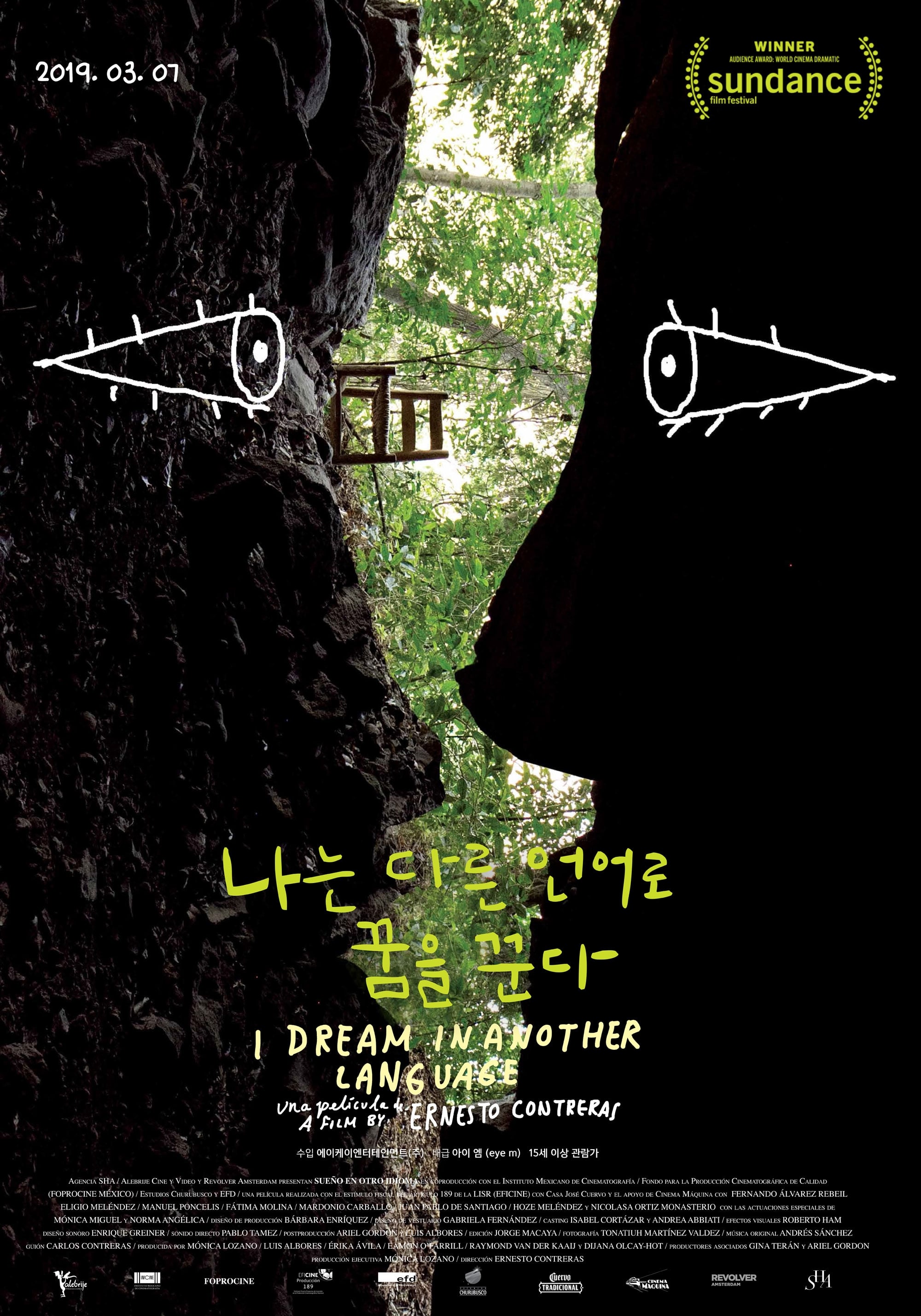 Poster of I Dream in Another Language