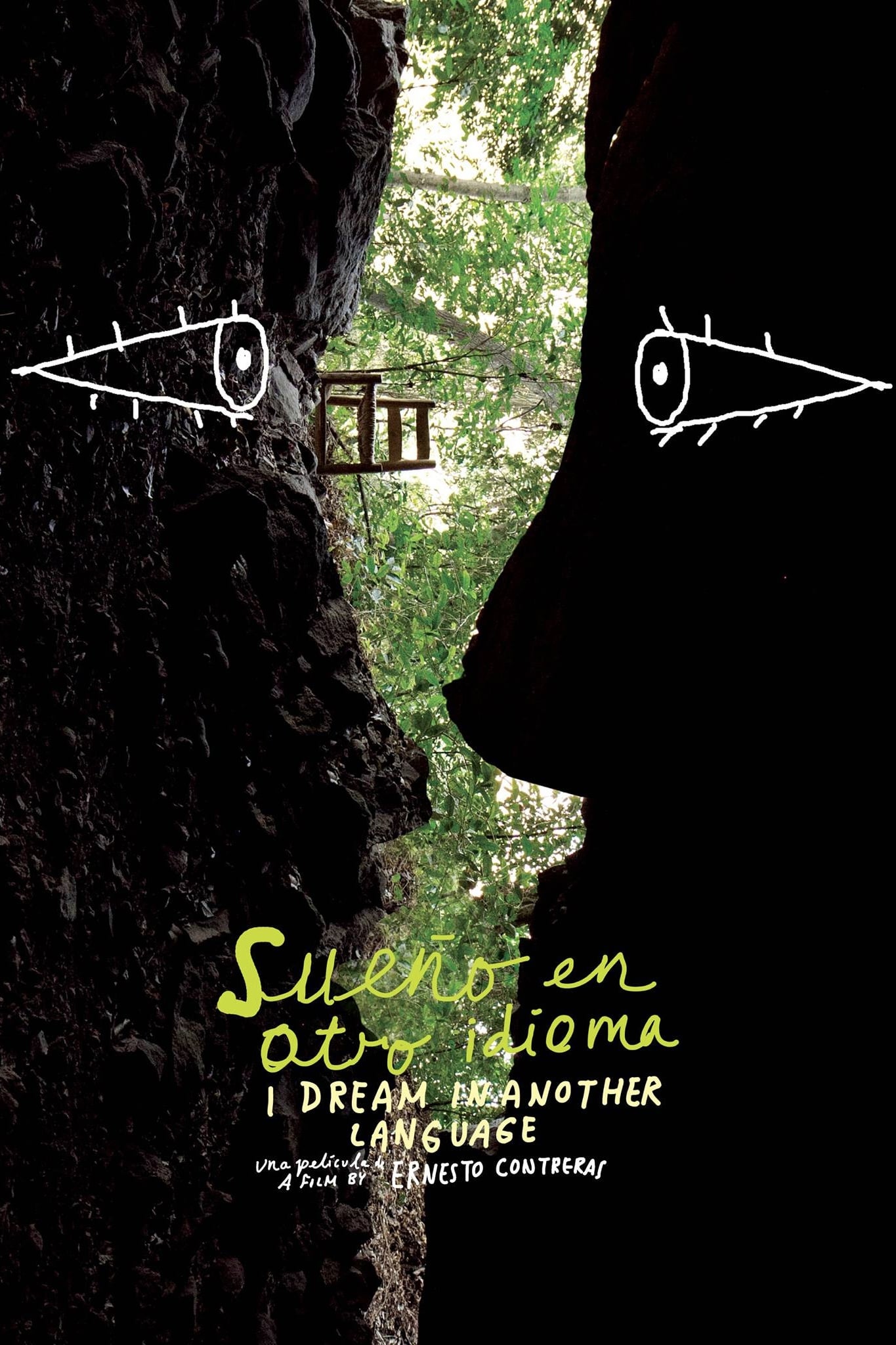 Poster of I Dream in Another Language