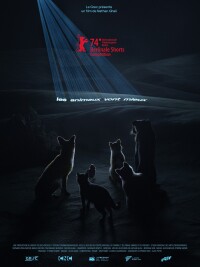 Lick a Wound filming locations