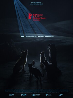 Lick a Wound film poster