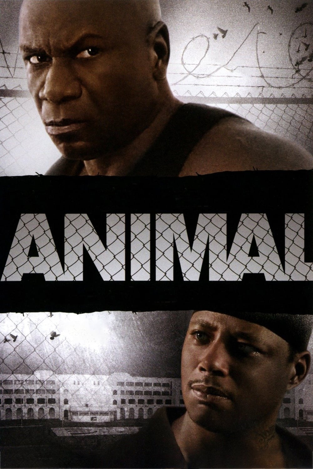 Dónde se rodó Animal Dónde se rodó Animal