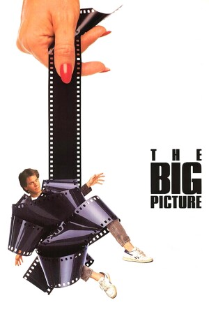 The Big Picture film poster