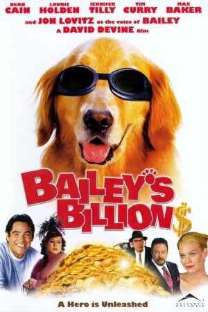 Bailey's Billion$ film poster