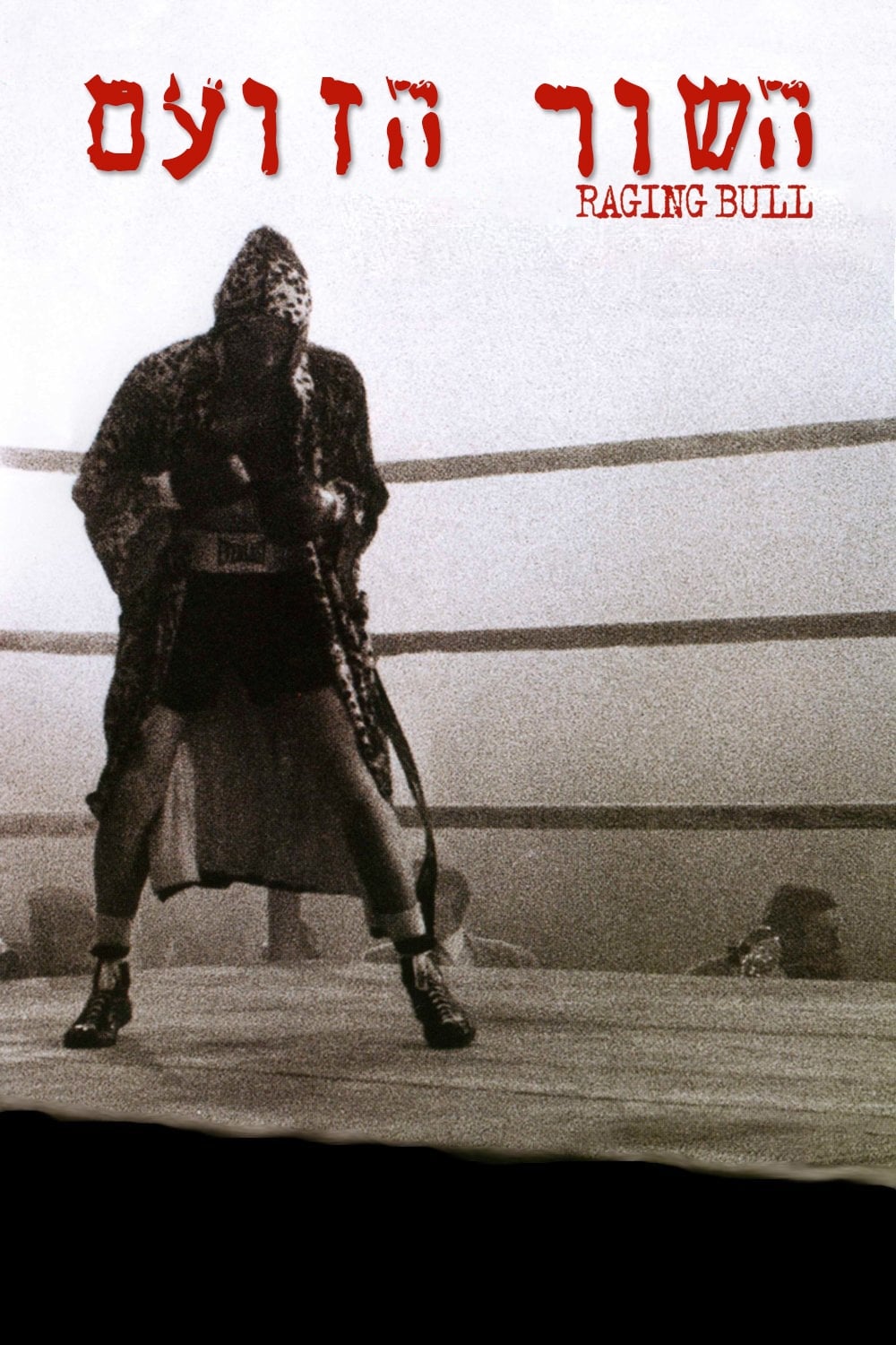 Póster de Toro salvaje