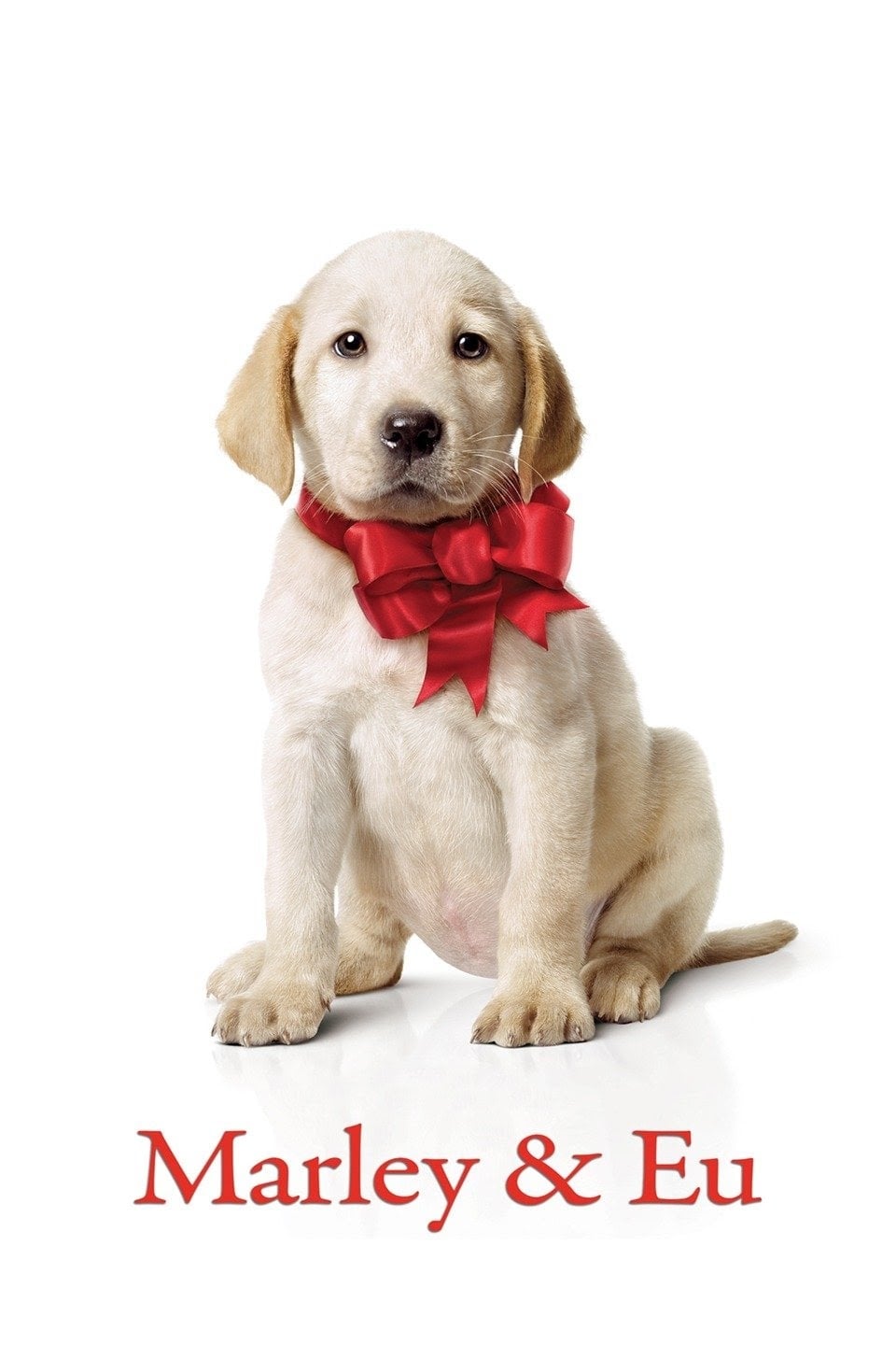 Poster of Marley & Me