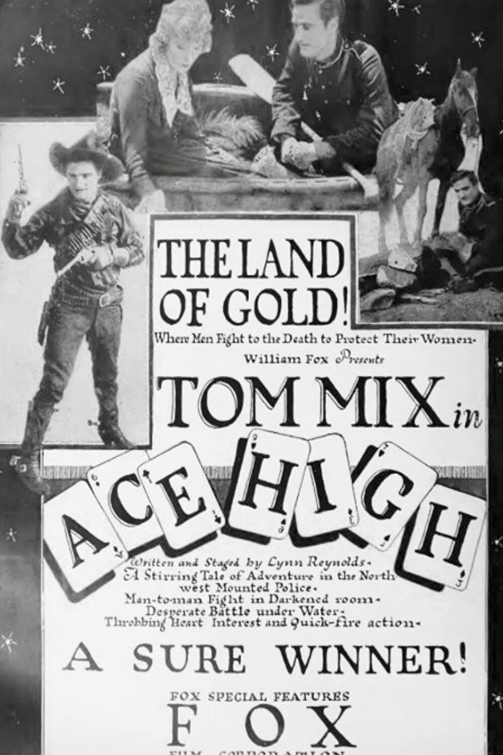 Póster de la película Ace High