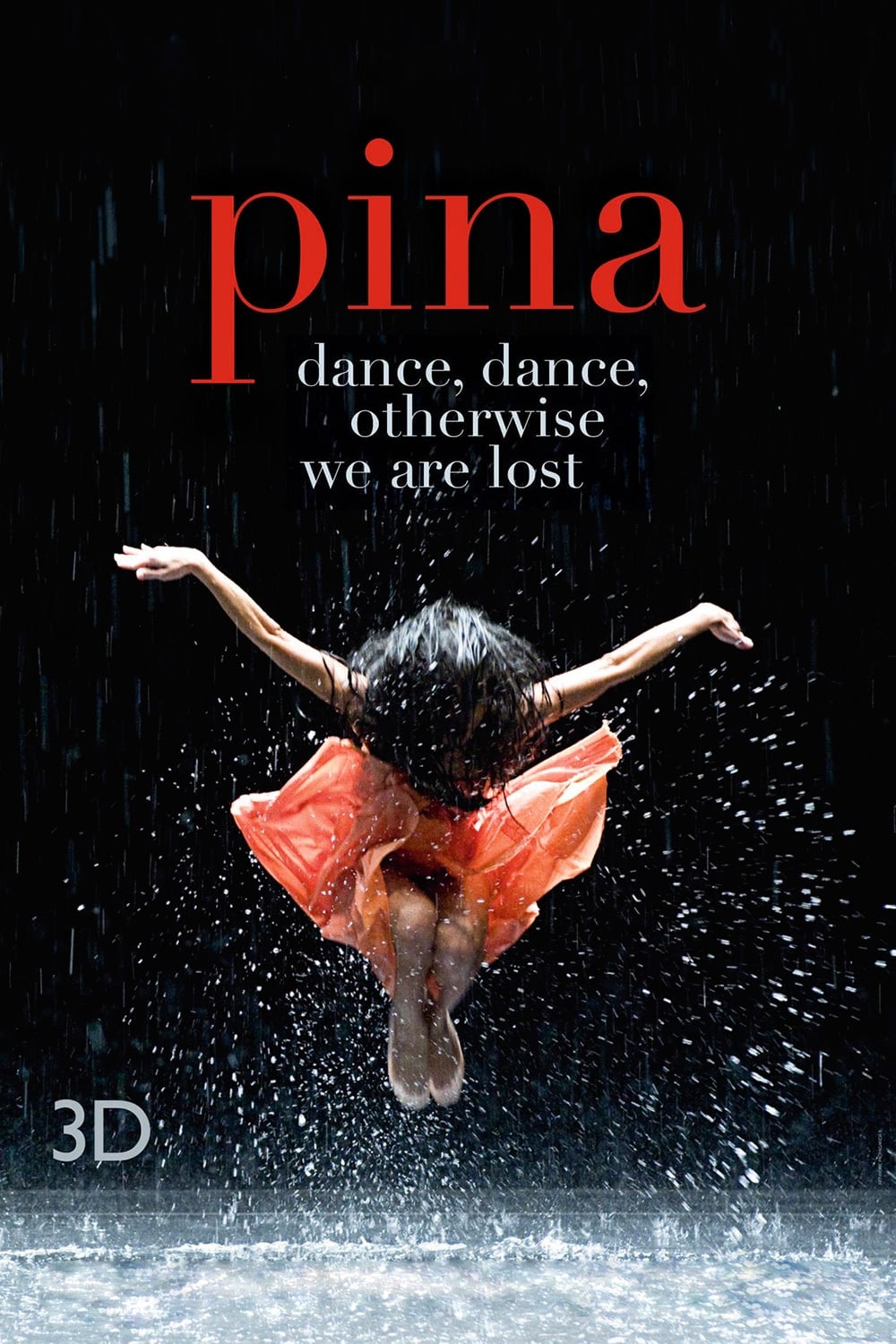 Póster de Pina