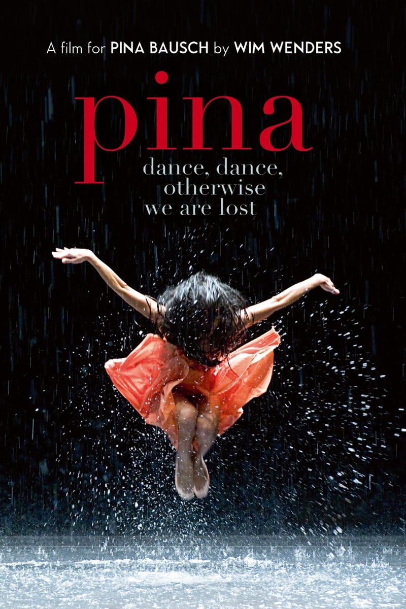 Póster de Pina