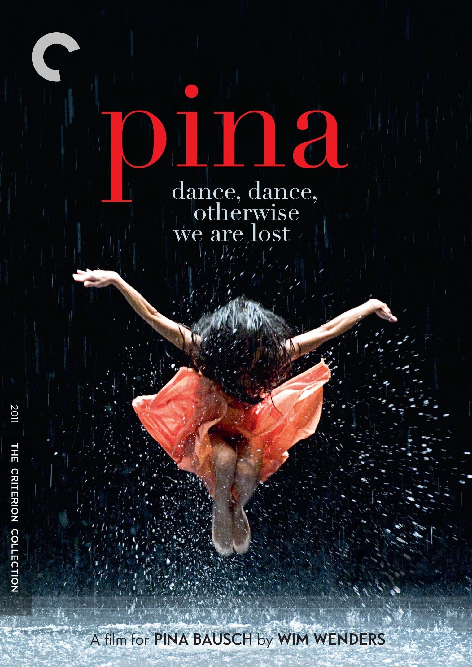 Póster de Pina
