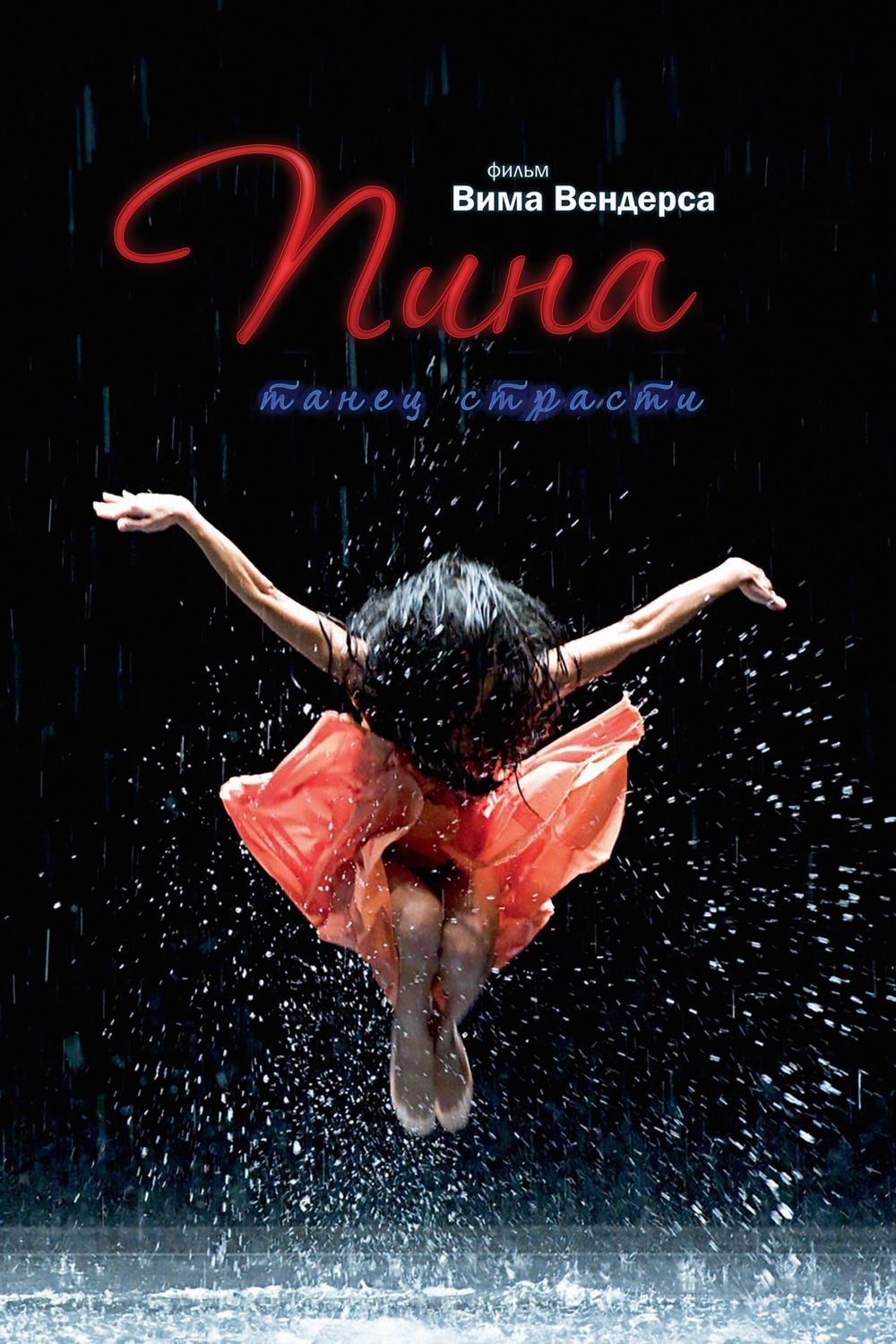 Póster de Pina