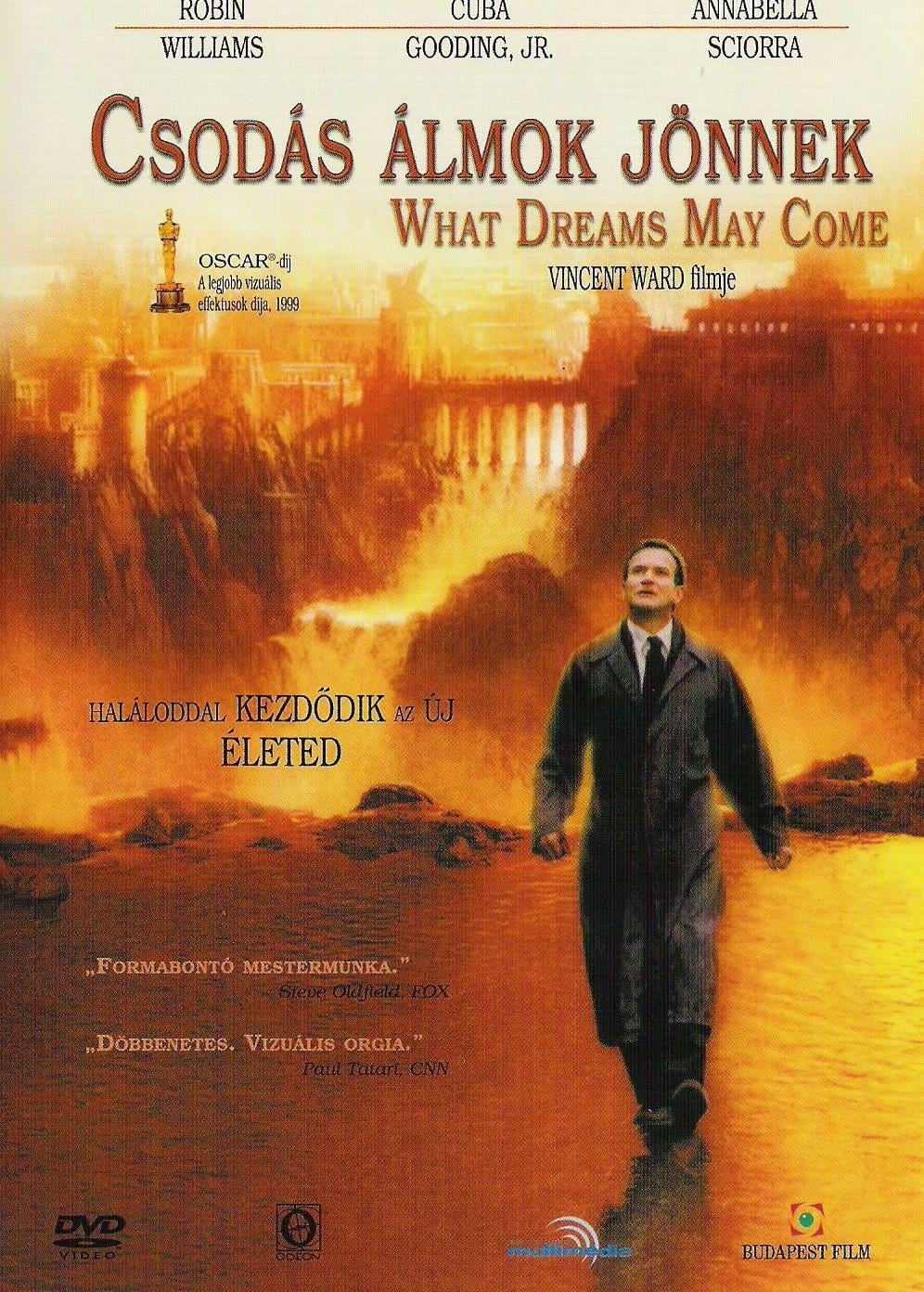 Poster of What Dreams May Come