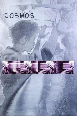 Póster de la película Cosmos