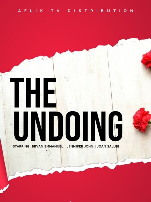 The Undoing film poster