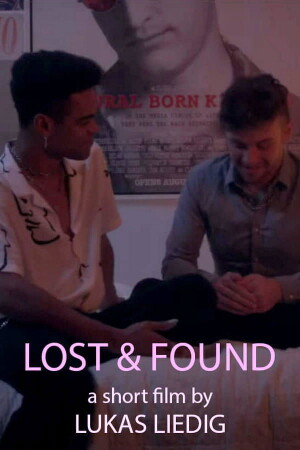 Póster de la película Lost and Found