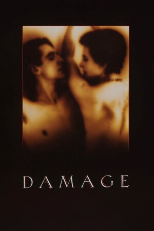 Damage film poster