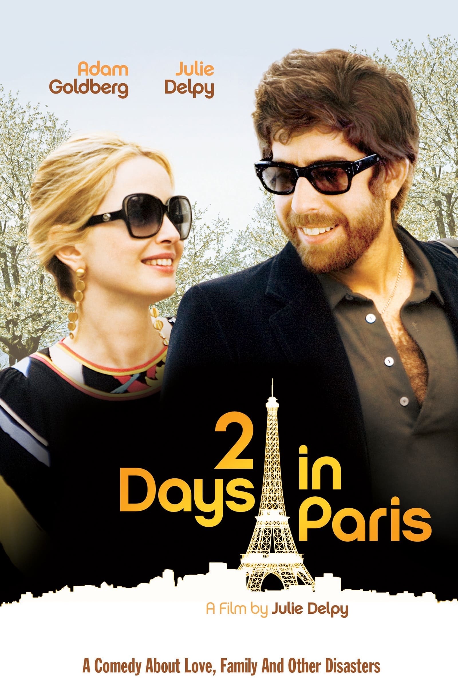 Poster of 2 Days in Paris