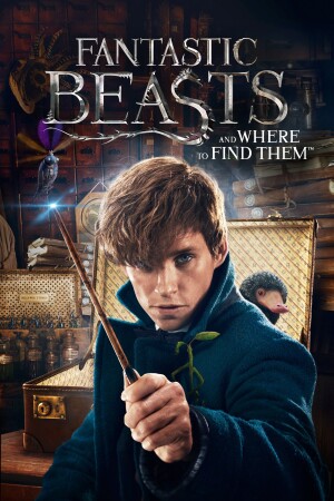 Fantastic Beasts and Where to Find Them film poster