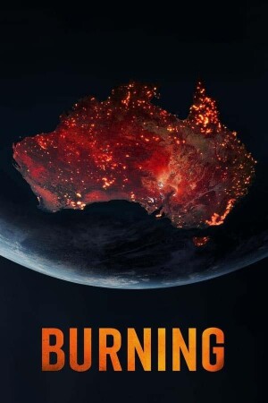 Burning film poster
