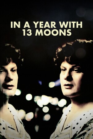 Póster de la película Un año con trece lunas