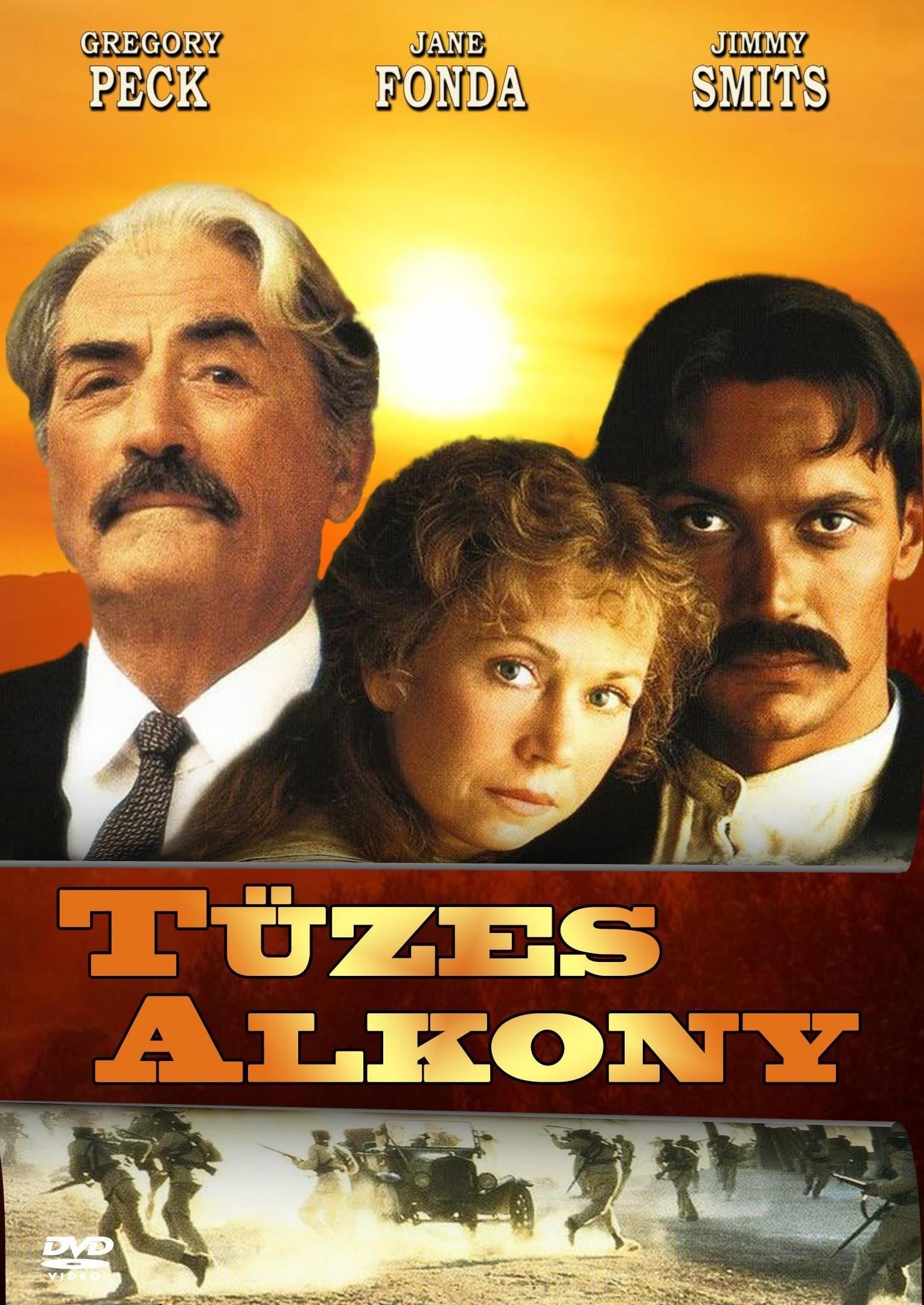Póster de Gringo viejo