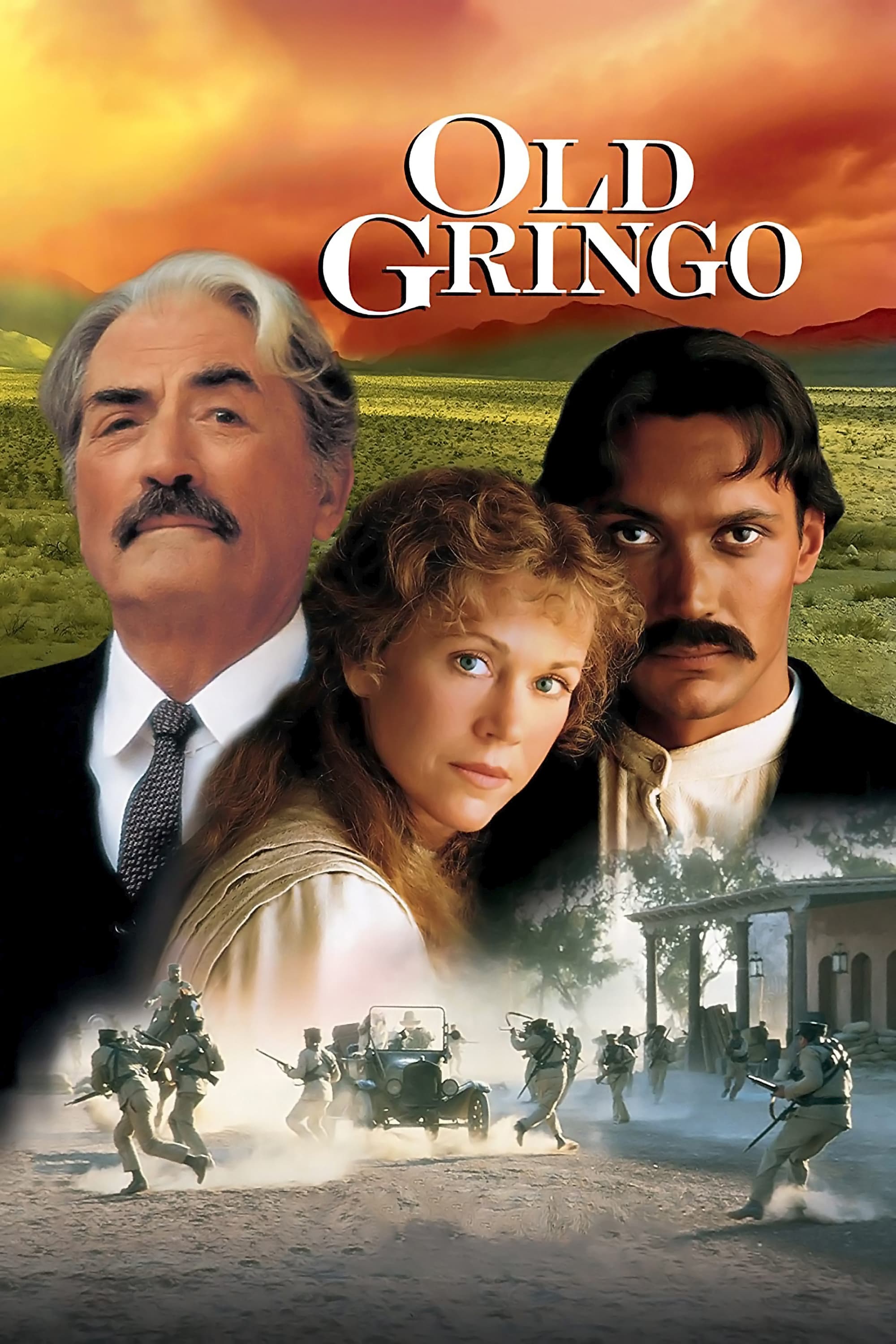 Póster de Gringo viejo