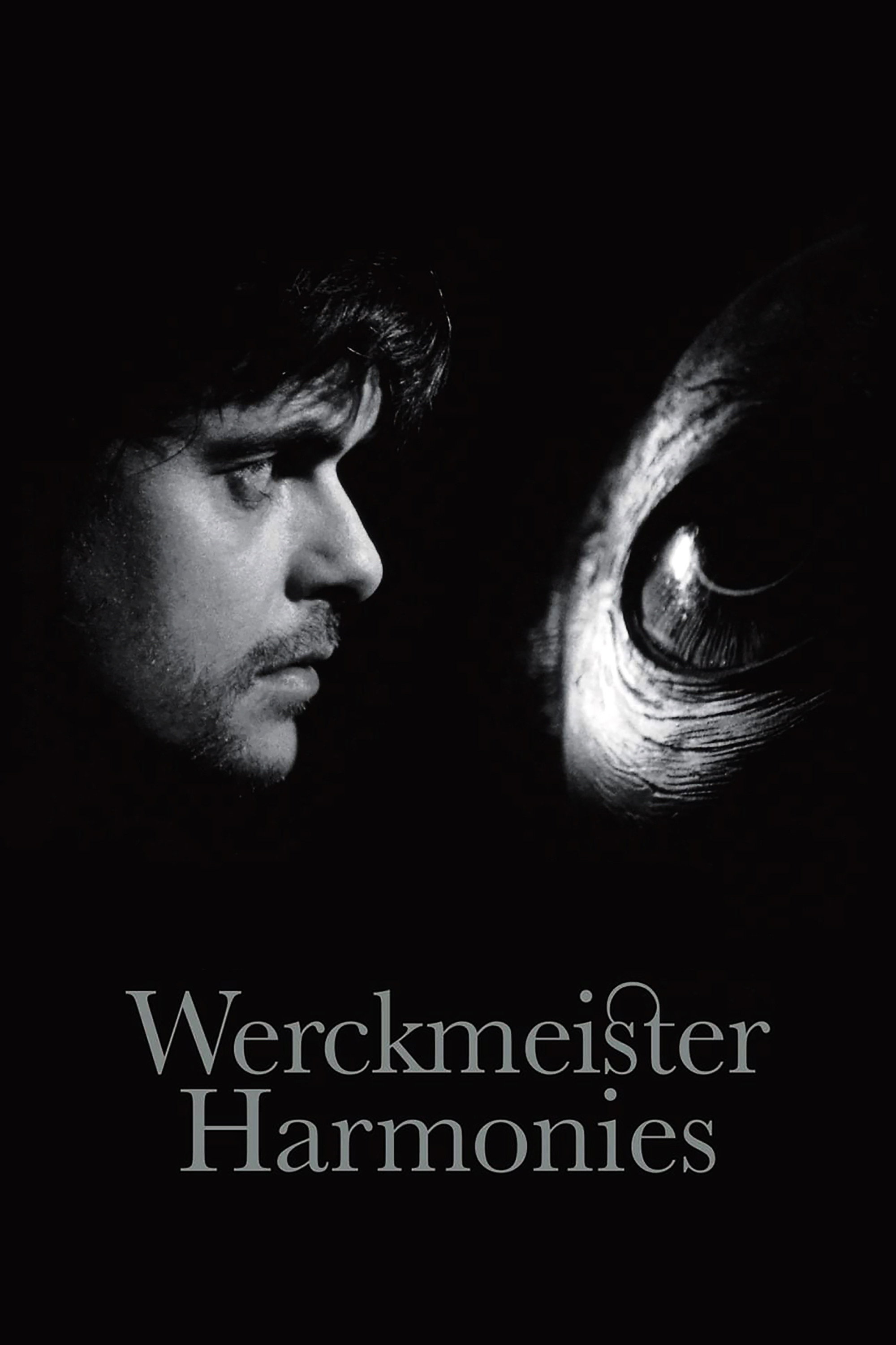 Póster de la película Armonías de Werckmeister