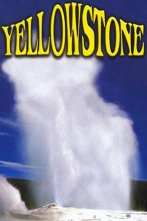 Yellowstone film poster