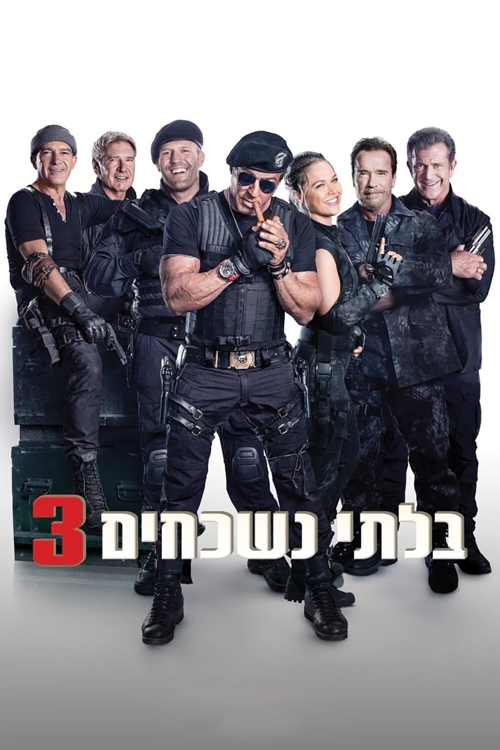 Póster de Los mercenarios 3