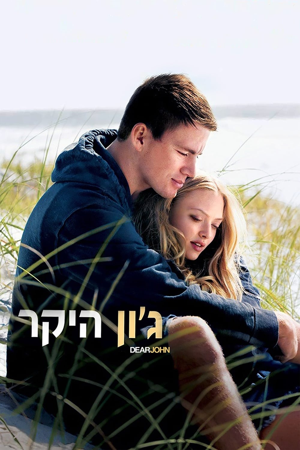 Poster of Dear John