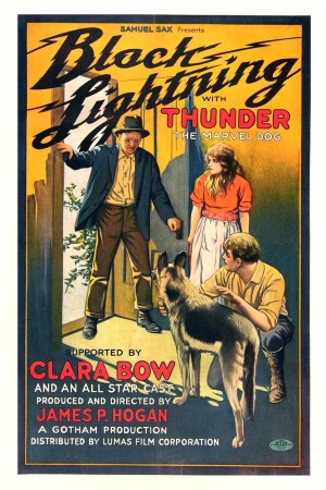 Black Lightning film poster
