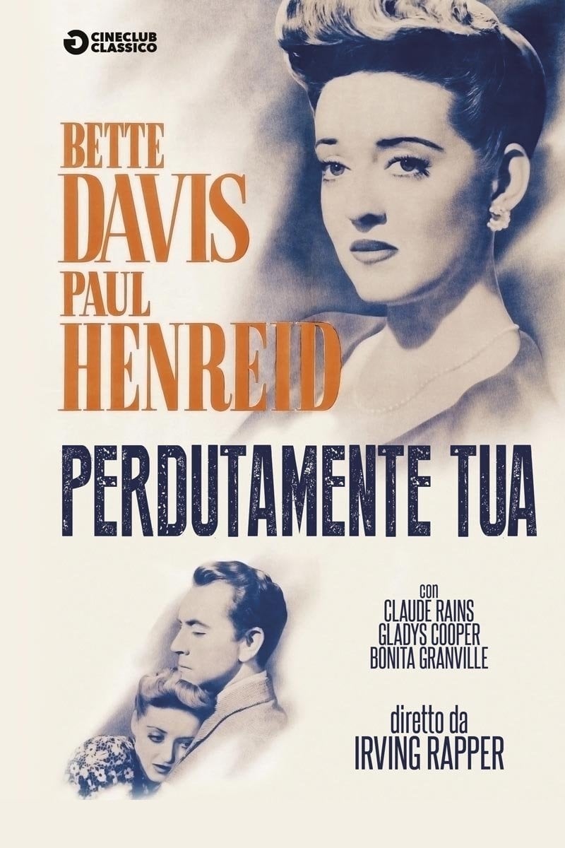 Póster de La extraña pasajera