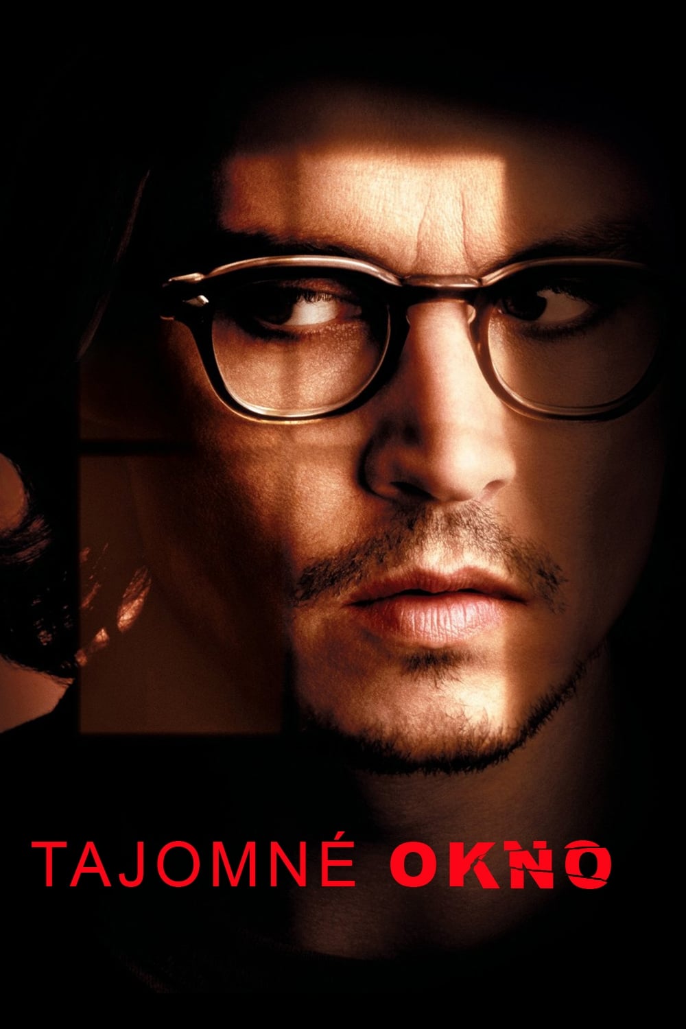 Póster de La ventana secreta