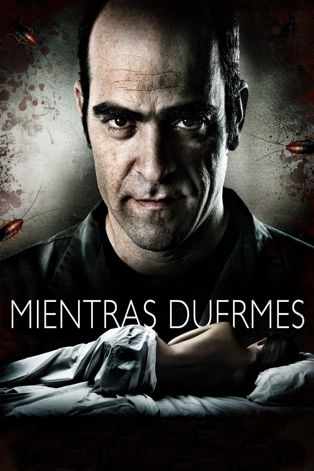 Póster de Mientras duermes