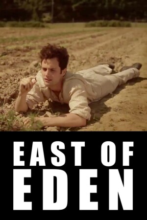 Póster de la película East of Eden