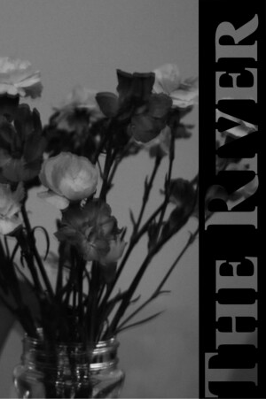 Póster de la película The River