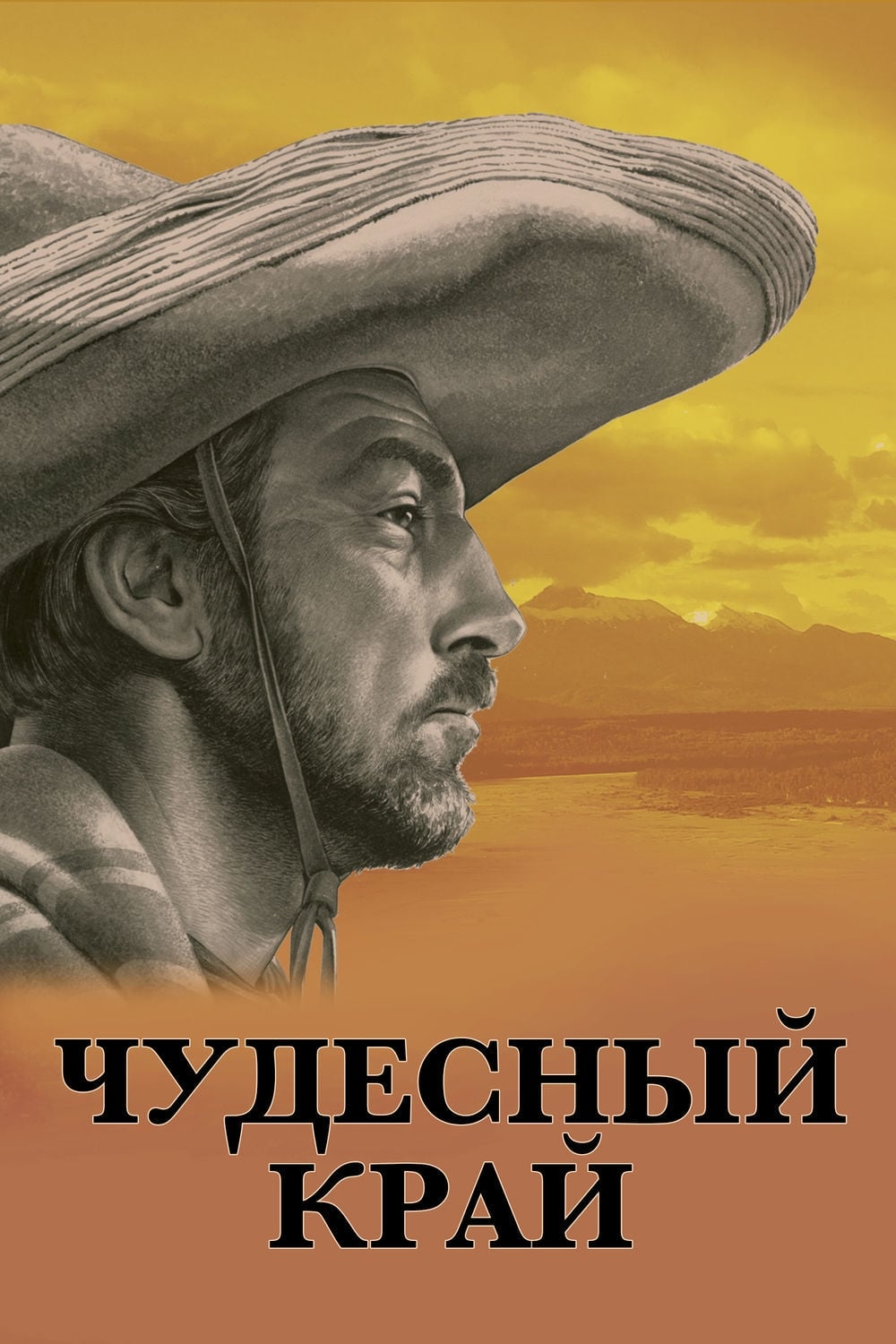 Poster of The Wonderful Country