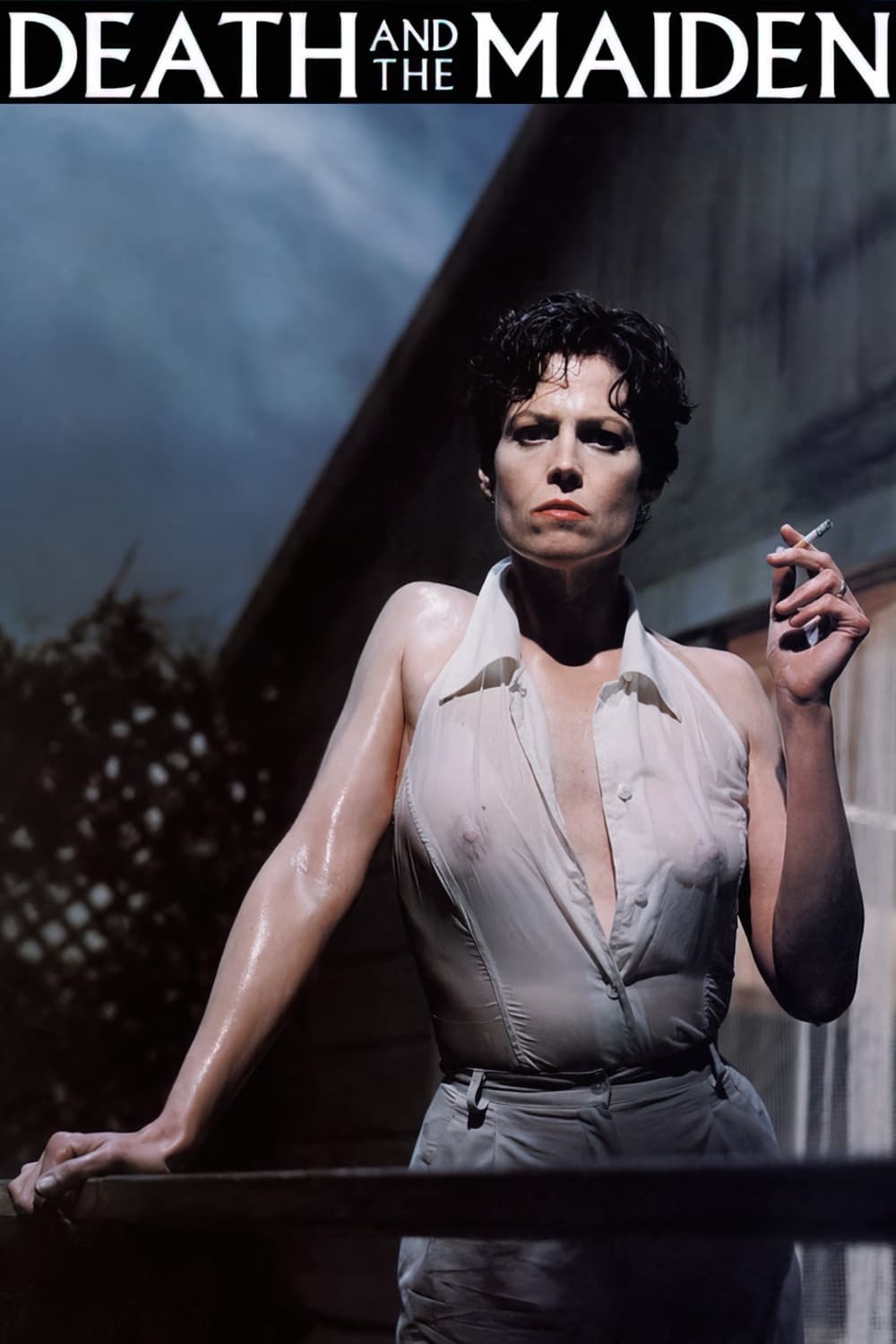 Póster de La muerte y la doncella