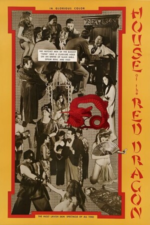 The House of the Red Dragon film poster