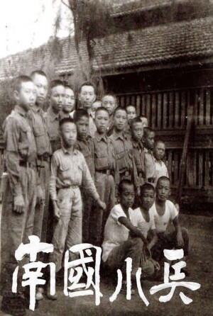 Póster de la película 南國小兵