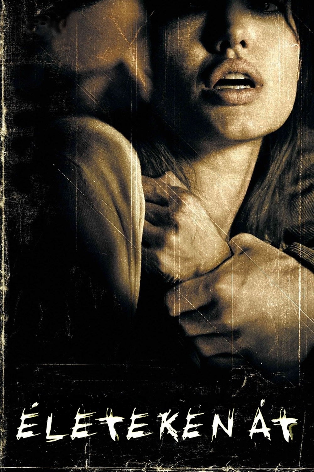 Póster de Vidas ajenas