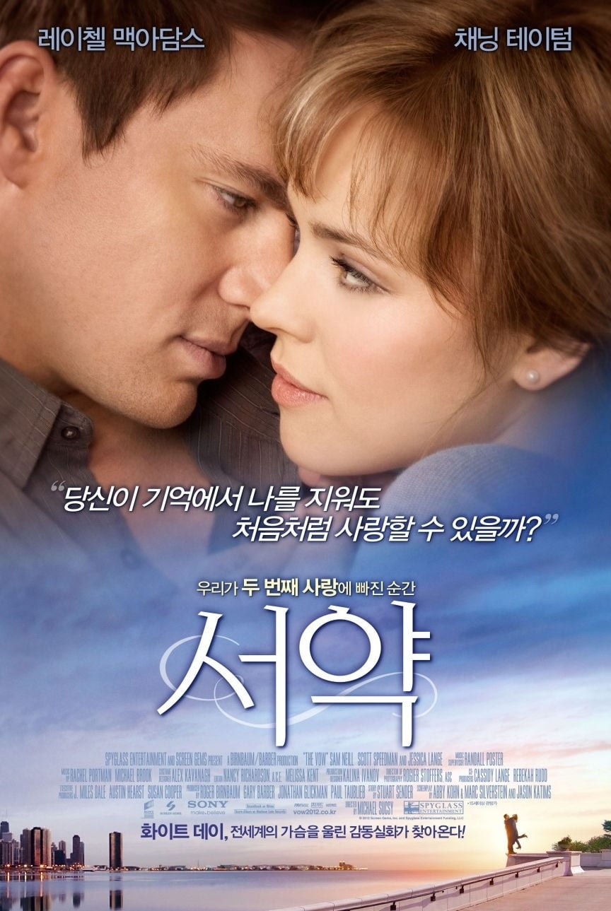 Poster of The Vow