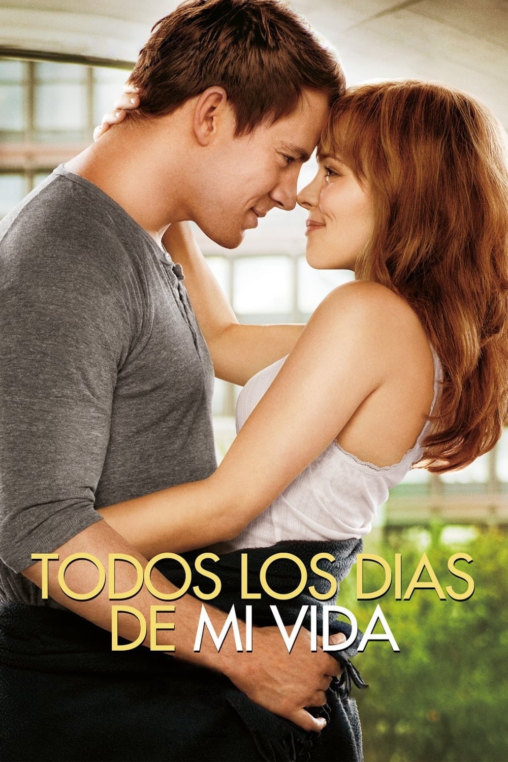 Poster of The Vow