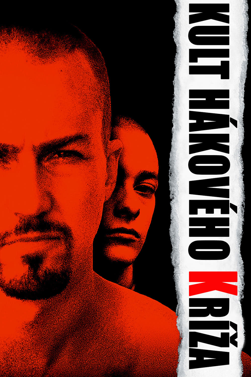 Póster de American History X