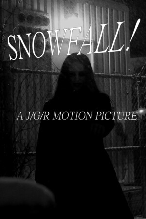 Snowfall film poster