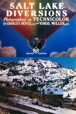 Salt Lake Diversions film poster
